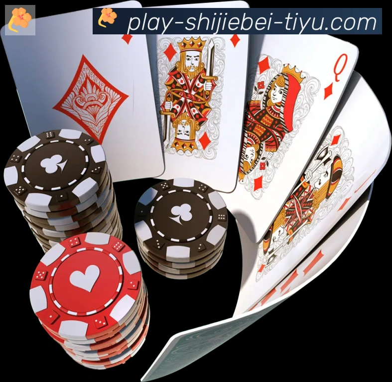 多彩内容专区
